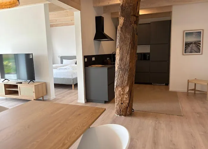 公寓 Gulfhof Funnixerhoern Dree *